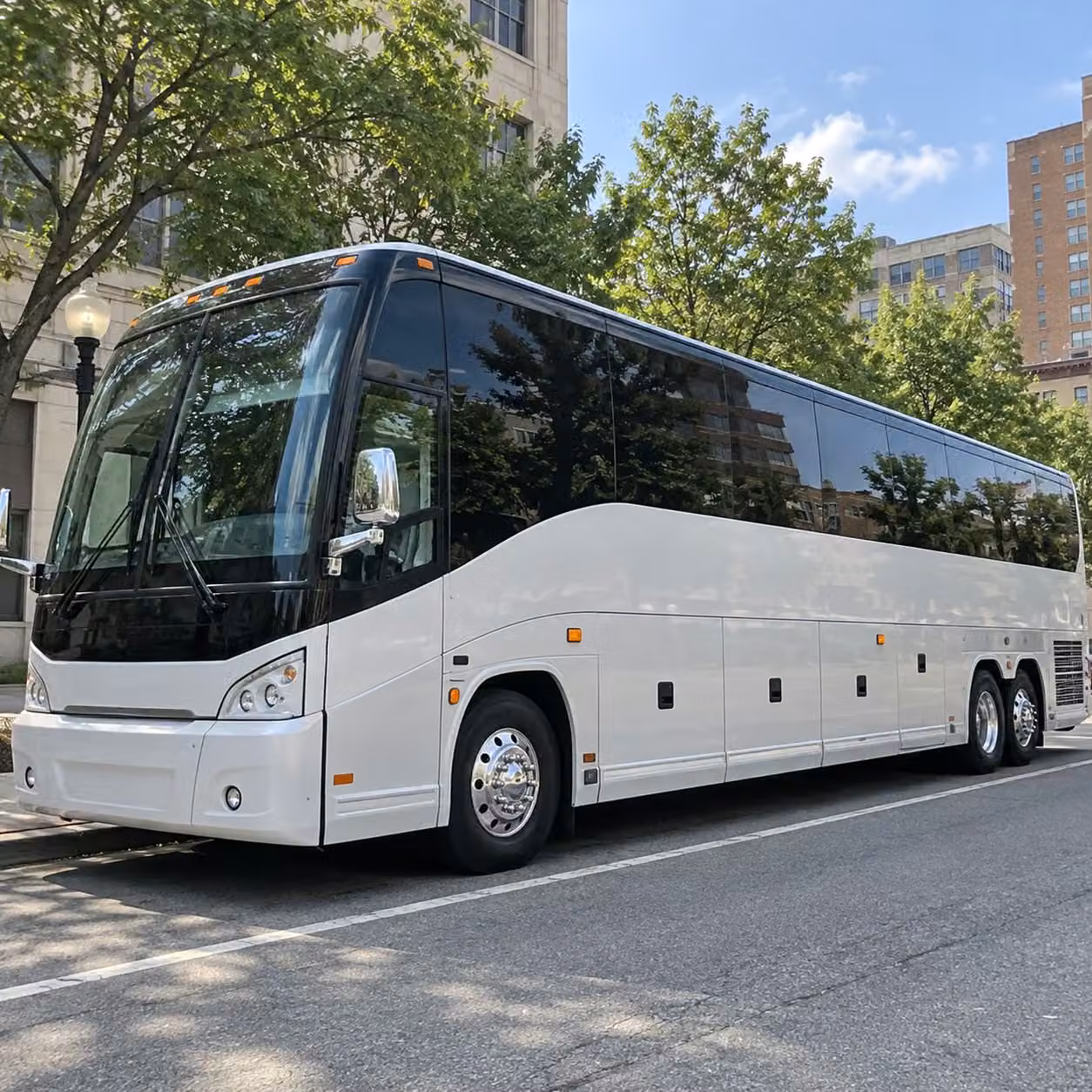 56 passenger charter bus